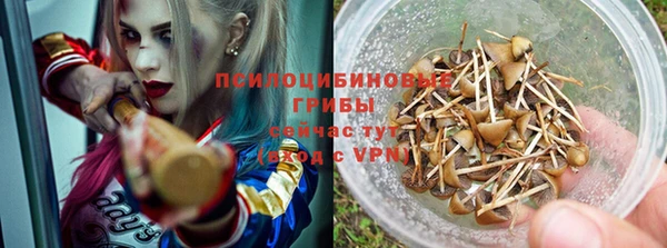 скорость mdpv Белокуриха