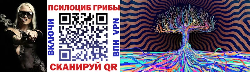 Псилоцибиновые грибы Psilocybe  Купить закладки  Унеча 